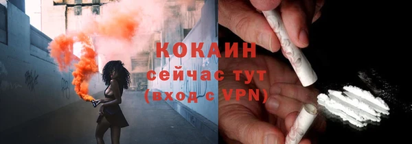 дурь Арсеньев