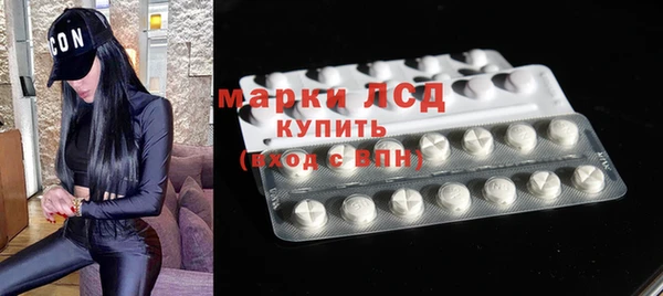 прущие грибы Пестово