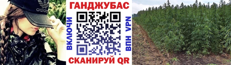 Бошки марихуана конопля  Старица 